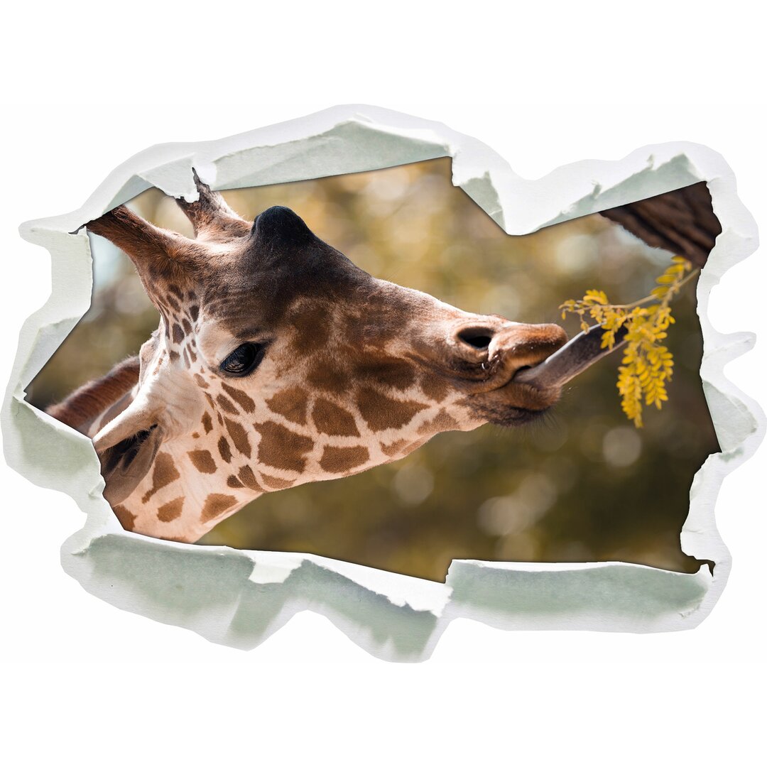 Giraffe Gesicht Wandaufkleber