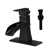 Oil Rubbed Bronze