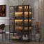 Vitrine avec porte vitrée et lumières DEL, vitrine, armoire d'appoint