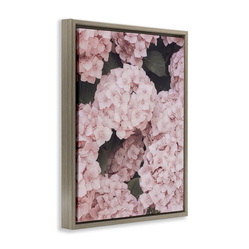 «Pink Hydrangea Blossoms», art mural encadré sur toile flottante par Sissi et Seb, H 31 po x l 25 po