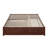  Lamariah Solid Wood Platform Bed with Matching Trundle-1461921408-1461921410