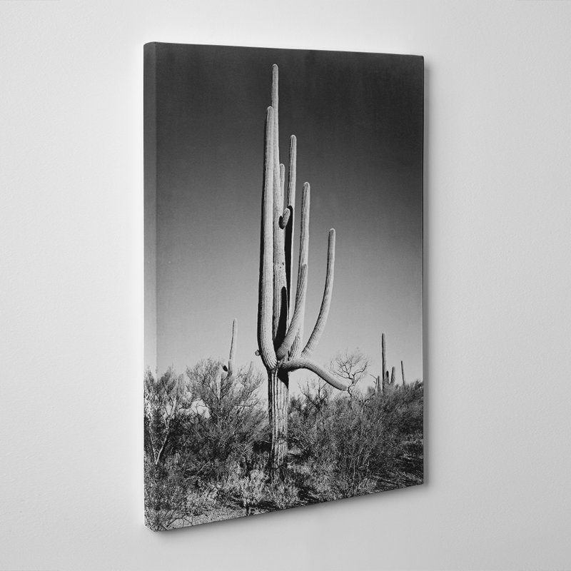 Ansel Adams - Wrapped Canvas Print, 50cm H x 35cm W