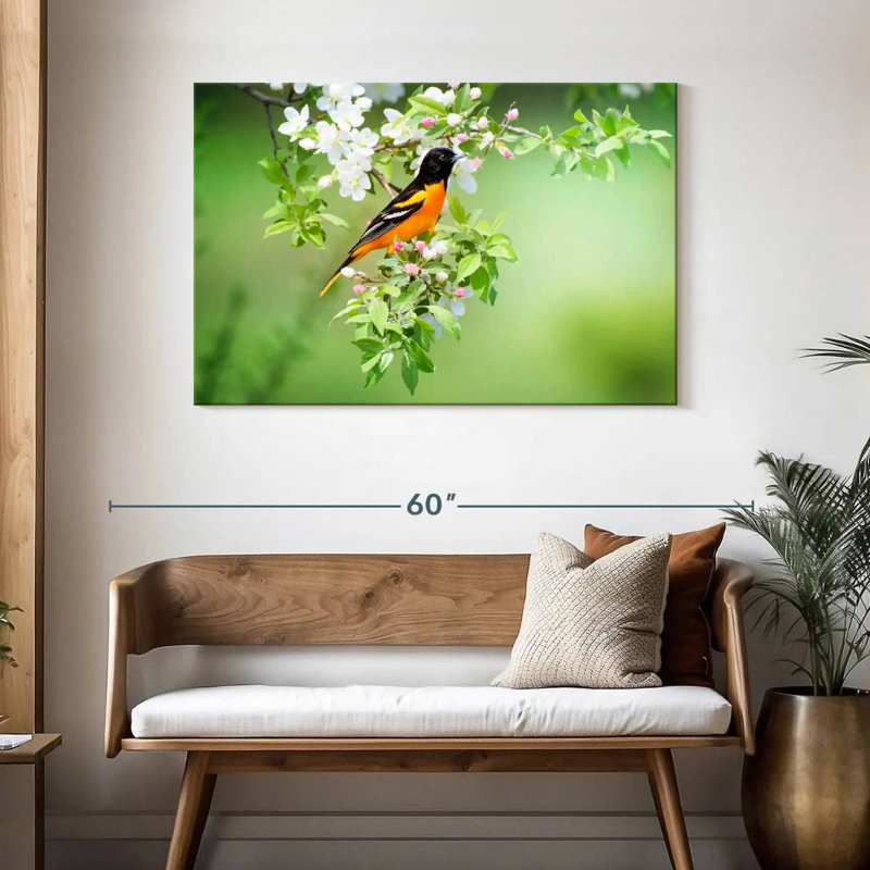 Brampt Oriole, 30" H x 45" W