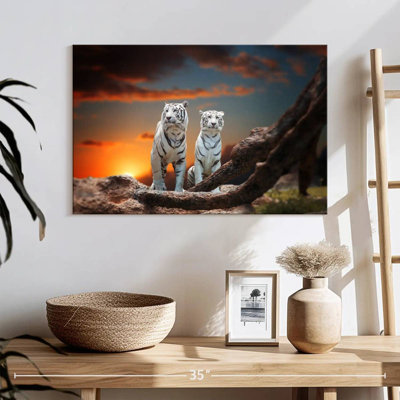 Brampt Wild White Tigers