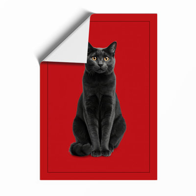 Striking Black Cat Modern - Print