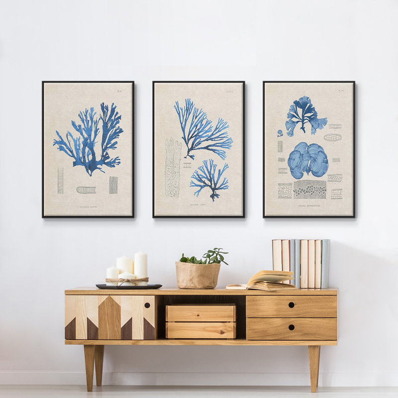 Blue Marine Algae IV - Ensemble de 3 reproductions encadrées sur toile, H 36 po x l 72 po x P 2 po, Noir