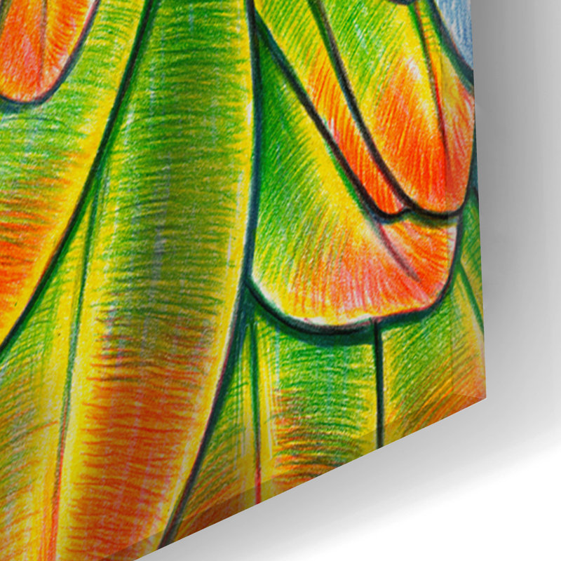 Art mural en verre Nicobar Pigeon par Tim Jeffs, H 24 po x l 16 po