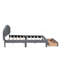 Lit plateforme tapissier avec tiroir Teddy