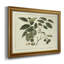 Toile encadrée délicate Botanical III - prête à être accrochée