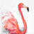 Splashing flamingo - 32"x32" art on canvas