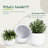 Signature Genest 1-Piece Fiberstone Planter For Indoor/Outdoor-365544817-365544822