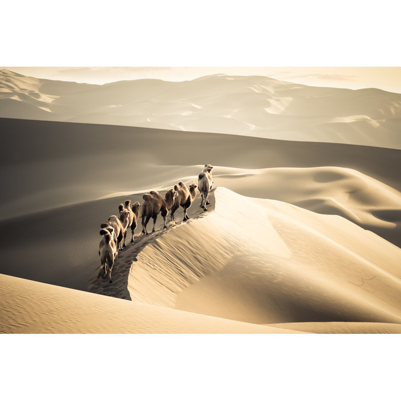 Camels Walk On The Sand Dunes - Wrapped Canvas Print, 51cm H x 76cm W x 3.8cm D
