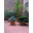 Niyla Handmade Wood Planter Box-919441138