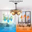 Ashelynn 7- Blade 50cm Ceiling Fan with Remote Control and Light Kit Included