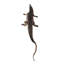 Crocodile de marche Boylon
