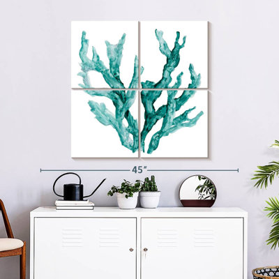 Corail de mer Brampt II