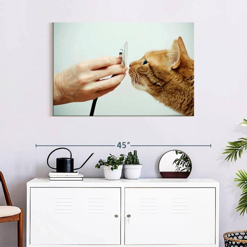 Chat chat sur toile, H 24 po x l 36 po x P 1,25 po