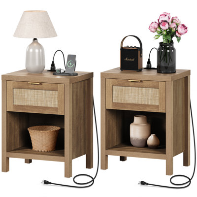 Chada 19.7'' W Nightstand
