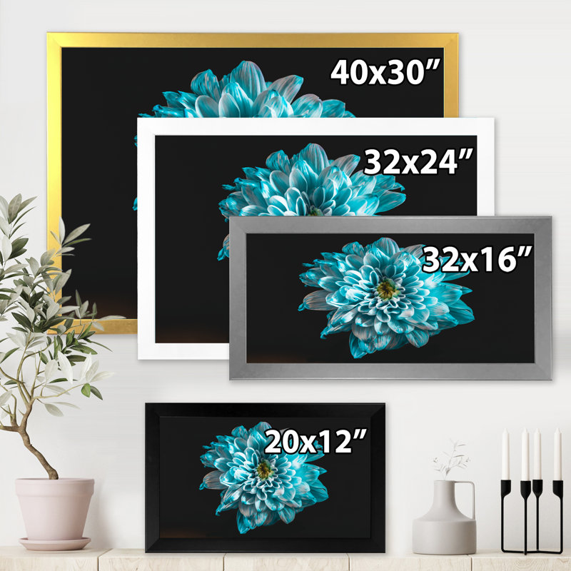 Gros plan d'une fleur avec des pétales bleus et blancs - reproduction sur toile, H 30 po x l 40 po x 1,5 po