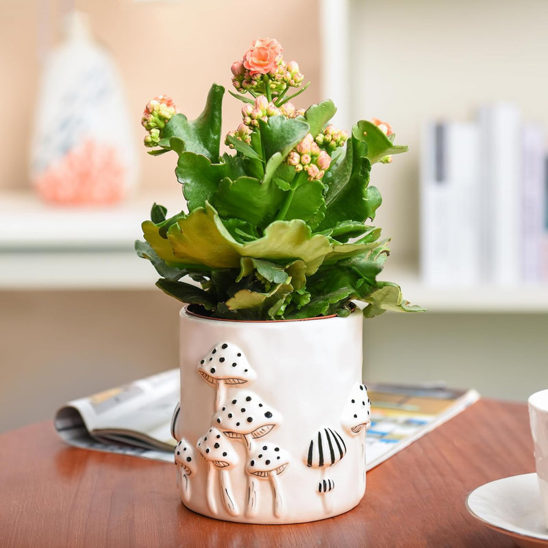5" White Mushroom Ceramic Planter With Drainage