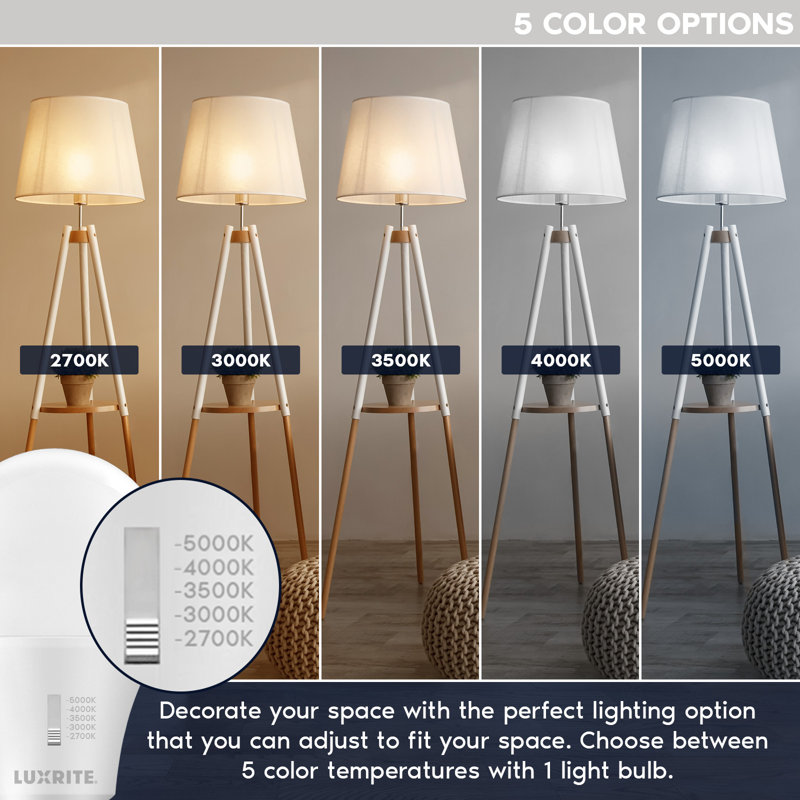 Equivalent A19 E26/Medium (Standard) Dimmable LED Bulb