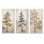 «Beige Tree Pine», ensemble de 3 reproductions d'art sur toile-1908639623-1908639619