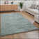 Jermarkus 100% Polyester Turquoise Outdoor Rug