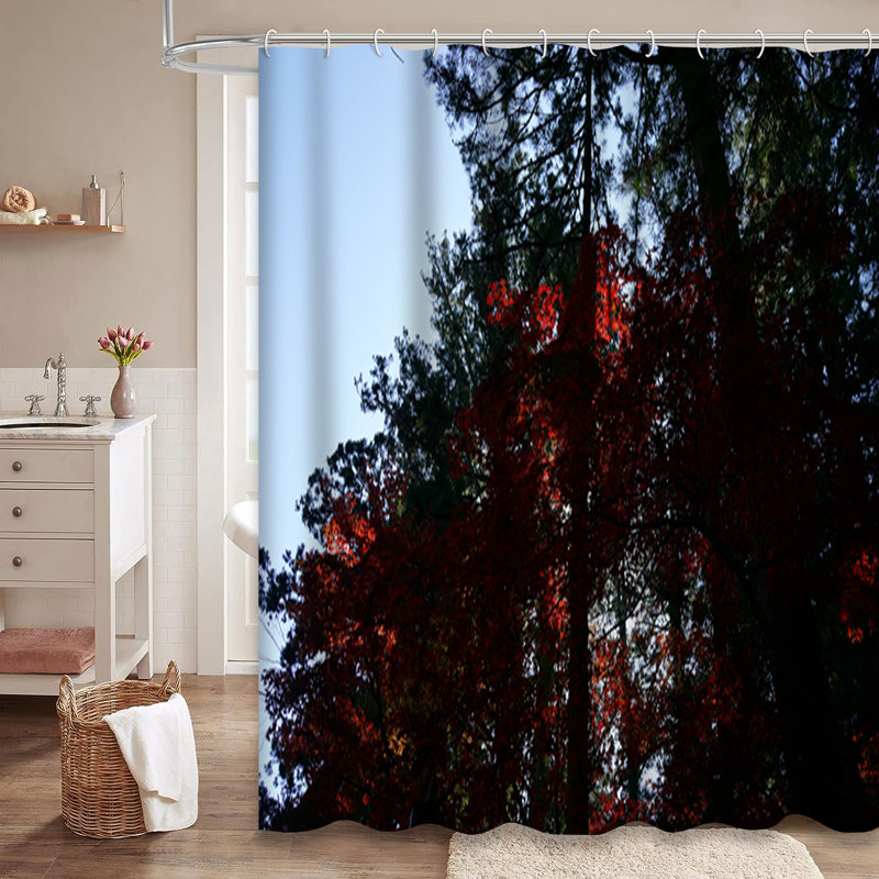 Rideau de douche avec 12 crochets, L 72 po x l 84 po
