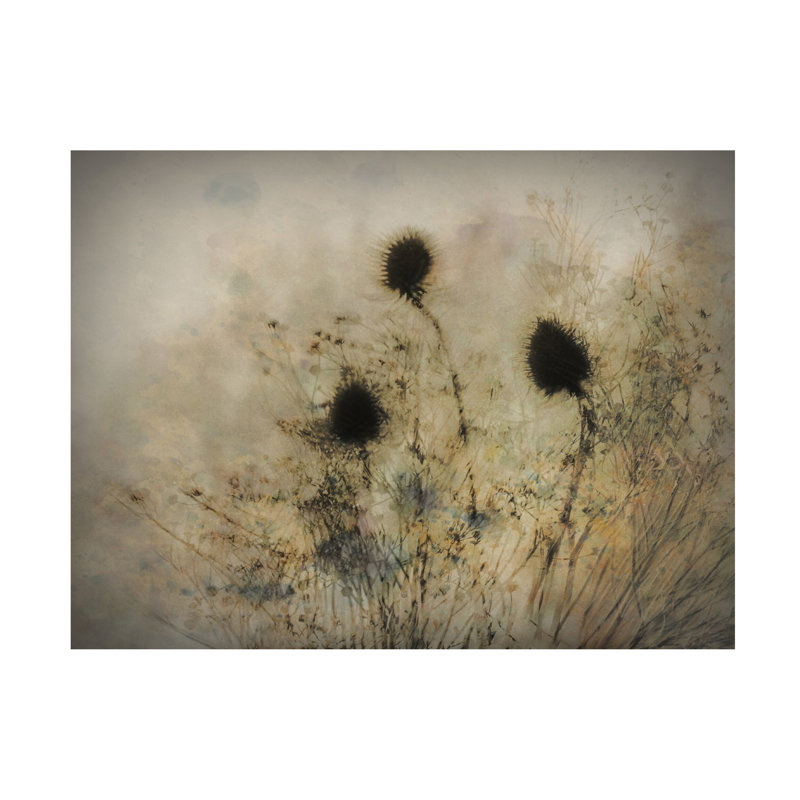 Katarina Holmstrom Seed Boxes Canvas Art, 14" H x 19" W x 2" D