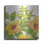 Art mural en métal «Watercolor Hibiscus I» par Tim O'Toole-101670406