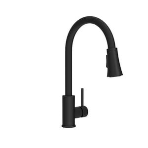 Proflo Kitchen Faucet Side Spray, Matte Black