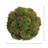 Decorative Sedum Balls-1711557623
