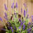 Wall-Mounted Artificial Flower