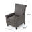 Tamirra Recliner-1512087144