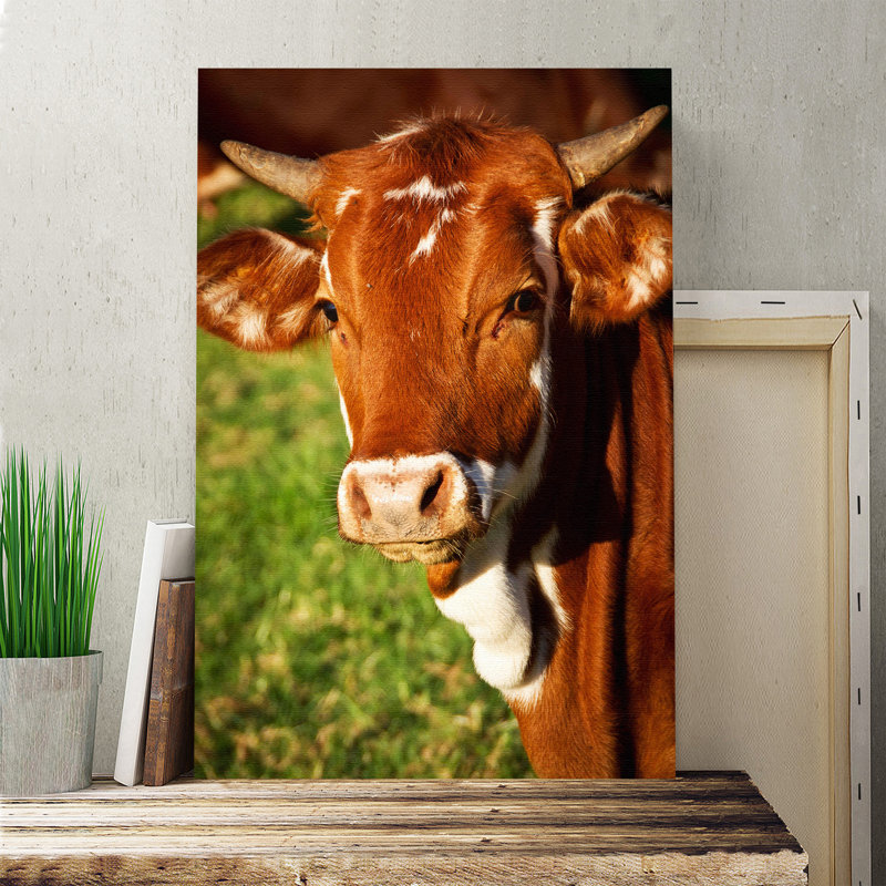 Wrapped Canvas Print, 76cm H x 50cm W