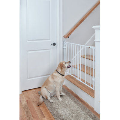 Portail Safety 1ˢᵗ® Prêt à installer