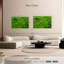 Corail vert Brampt-107847191