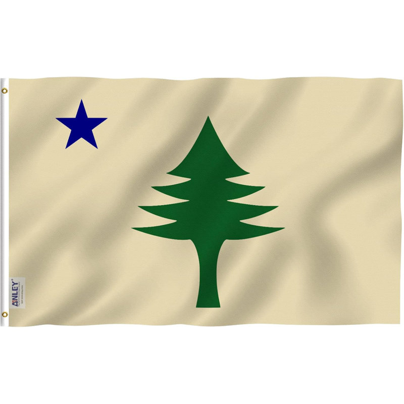 36"H X 60"W Maine State Flag Polyester House Flag