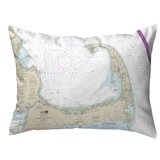 Indoor/Outdoor Reversible Throw Pillow