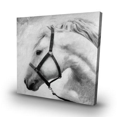 Darius the horse - 32"x32" art on canvas