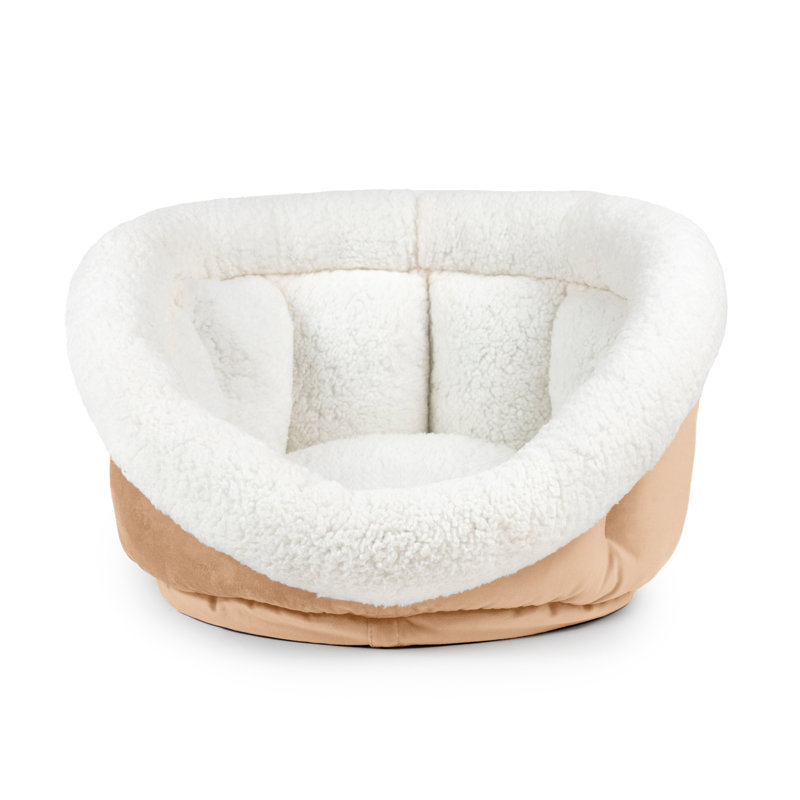 Tasse pour chien Tucker Murphy Pet ™, Or caramélisé, H 14 po x l 24 po x P 24 po