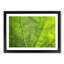 Veins of a Leaf - Picture Frame Photograph Print-55763921-55763922