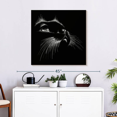 Caractéristiques du chat noir