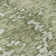 Premium Machine Washable Prisco Aloe Rug