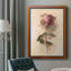 Painterly Rose Study I, toile encadrée de qualité supérieure - prête à être accrochée-892589567