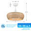 Ventilateur de plafond 22 po avec luminaire et télécommande Ayane-1134833835-1134834003