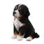 Animals Weather Resistant Polyresin Garden Statue