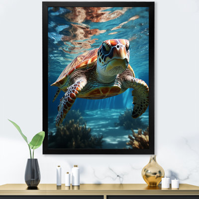 " Turtle Aquatic Wandererin Ocean "