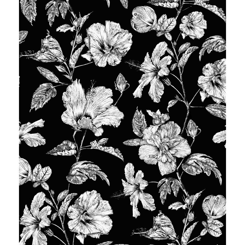 Hibiscus Haiti Flower Wallpaper, Ebony