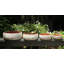 Pots de fleurs hexagonaux moyens en terre cuite, façonnés à la main, lot de 4 - Intérieur/Extérieur-836626338